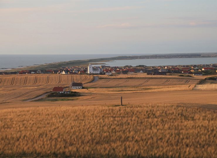 Fra tårnet imod nord. Ferring og Ferring Sø ...