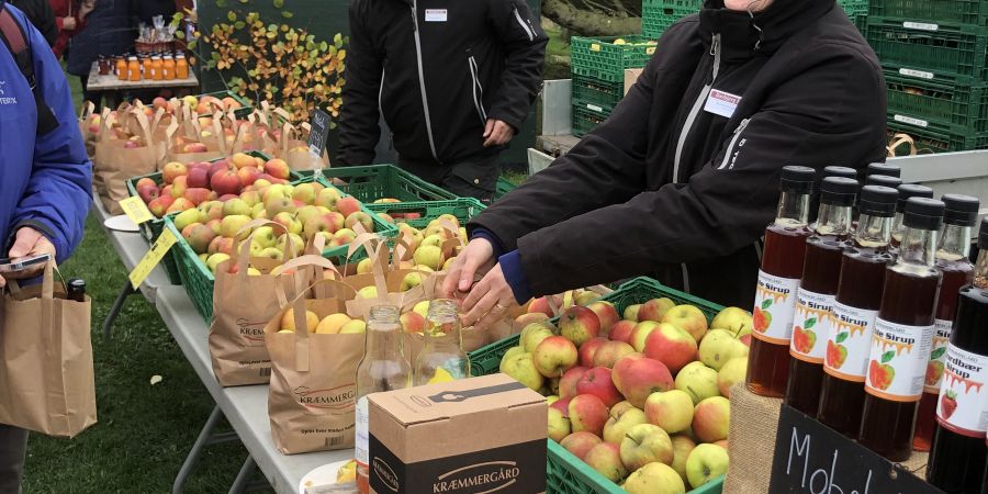 Efterårsmarked - Vestjyllands hyggeligste