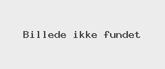 Vestjyskmarketing.dk